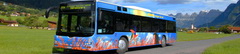 Busfahrplan BUS Sarganserland Werdenberg